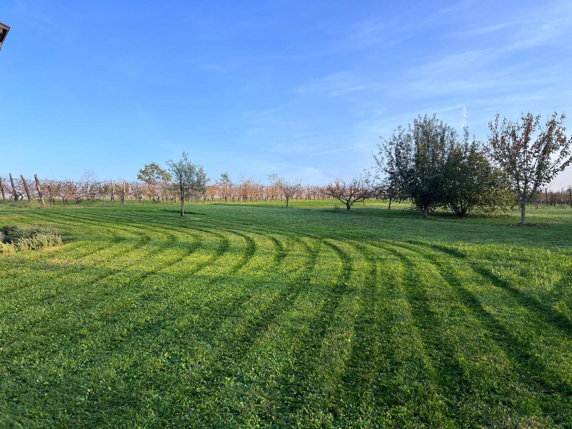 Al Vigneto Villa Vigolzone Bagian luar foto